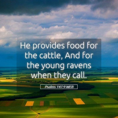Picture 05 - Psalms 147:9 WEB - He provides food for the cattle, And for the - Bible Verse Picture