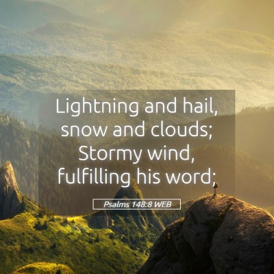 Picture 05 - Psalms 148:8 WEB - Lightning and hail, snow and clouds; Stormy wind, - Bible Verse Picture