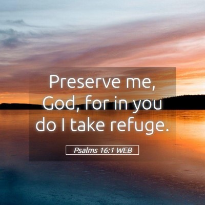 Picture 05 - Psalms 16:1 WEB - Preserve me, God, for in you do I take - Bible Verse Picture