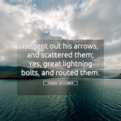 Picture 05 - Psalms 18:14 WEB - He sent out his arrows, and scattered them; Yes, - Bible Verse Picture