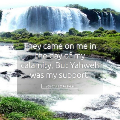 Picture 05 - Psalms 18:18 WEB - They came on me in the day of my calamity, But - Bible Verse Picture