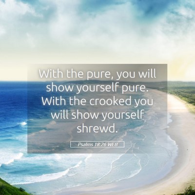 Picture 05 - Psalms 18:26 WEB - With the pure, you will show yourself pure. With - Bible Verse Picture