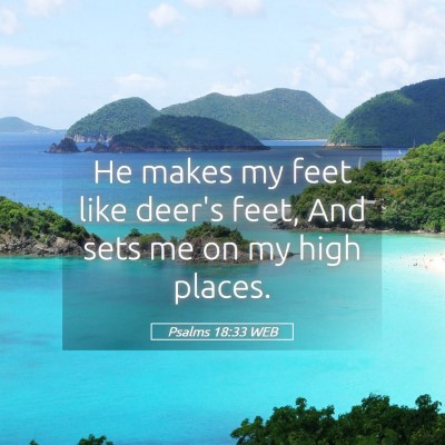 Picture 05 - Psalms 18:33 WEB - He makes my feet like deer's feet, And sets me on - Bible Verse Picture