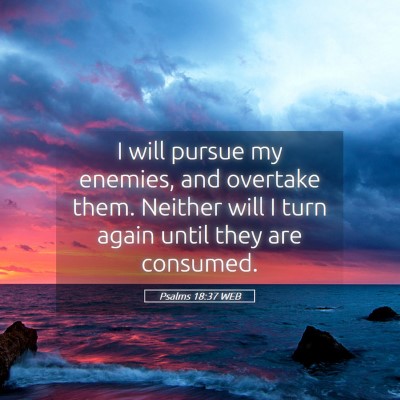Picture 05 - Psalms 18:37 WEB - I will pursue my enemies, and overtake them. - Bible Verse Picture