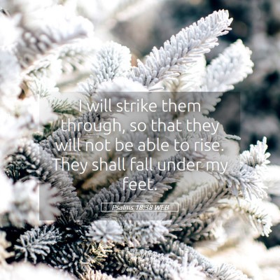 Picture 05 - Psalms 18:38 WEB - I will strike them through, so that they will not - Bible Verse Picture