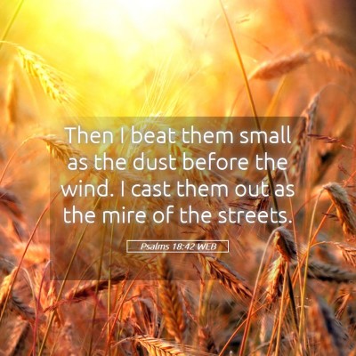 Picture 05 - Psalms 18:42 WEB - Then I beat them small as the dust before the - Bible Verse Picture