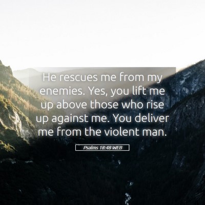 Picture 05 - Psalms 18:48 WEB - He rescues me from my enemies. Yes, you lift me - Bible Verse Picture