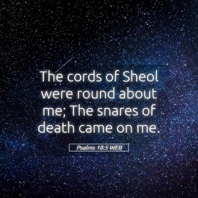 Picture 05 - Psalms 18:5 WEB - The cords of Sheol were round about me; The - Bible Verse Picture
