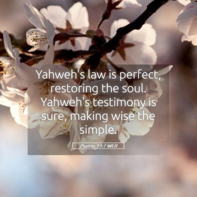 Picture 05 - Psalms 19:7 WEB - Yahweh's law is perfect, restoring the soul. - Bible Verse Picture