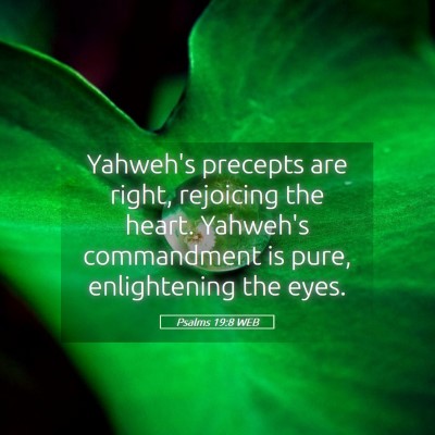 Picture 05 - Psalms 19:8 WEB - Yahweh's precepts are right, rejoicing the heart. - Bible Verse Picture