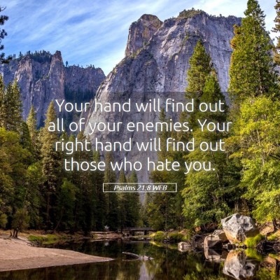 Picture 05 - Psalms 21:8 WEB - Your hand will find out all of your enemies. Your - Bible Verse Picture
