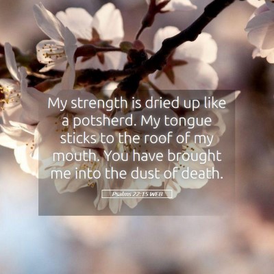 Picture 05 - Psalms 22:15 WEB - My strength is dried up like a potsherd. My - Bible Verse Picture