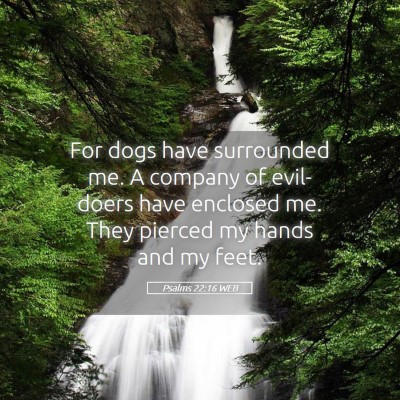Picture 05 - Psalms 22:16 WEB - For dogs have surrounded me. A company of - Bible Verse Picture