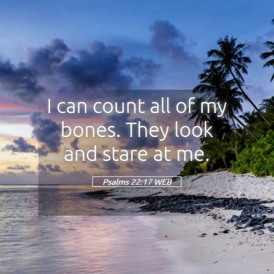 Picture 05 - Psalms 22:17 WEB - I can count all of my bones. They look and stare - Bible Verse Picture