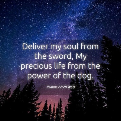 Picture 05 - Psalms 22:20 WEB - Deliver my soul from the sword, My precious life - Bible Verse Picture