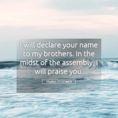 Picture 05 - Psalms 22:22 WEB - I will declare your name to my brothers. In the - Bible Verse Picture