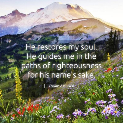Picture 05 - Psalms 23:3 WEB - He restores my soul. He guides me in the paths of - Bible Verse Picture