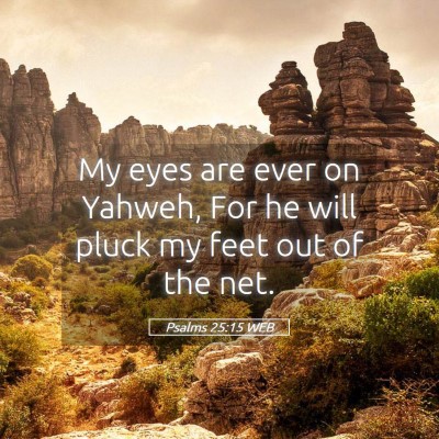 Picture 05 - Psalms 25:15 WEB - My eyes are ever on Yahweh, For he will pluck my - Bible Verse Picture