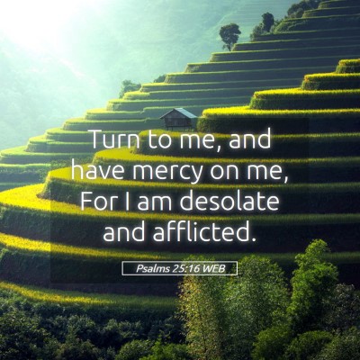 Picture 05 - Psalms 25:16 WEB - Turn to me, and have mercy on me, For I am - Bible Verse Picture