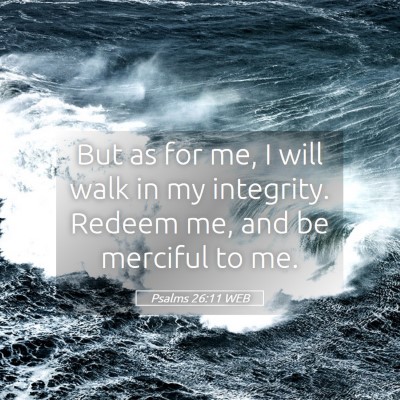 Picture 05 - Psalms 26:11 WEB - But as for me, I will walk in my integrity. - Bible Verse Picture
