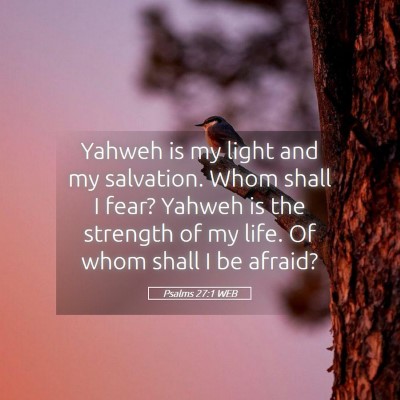 Picture 05 - Psalms 27:1 WEB - Yahweh is my light and my salvation. Whom shall I - Bible Verse Picture