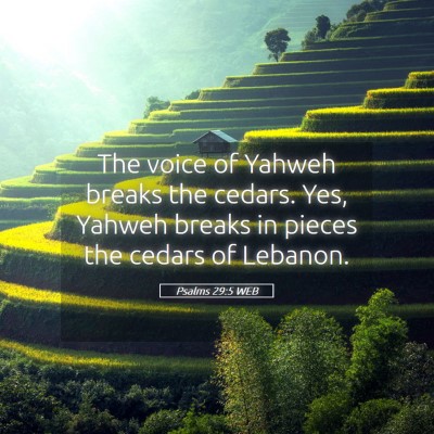 Picture 05 - Psalms 29:5 WEB - The voice of Yahweh breaks the cedars. Yes, - Bible Verse Picture