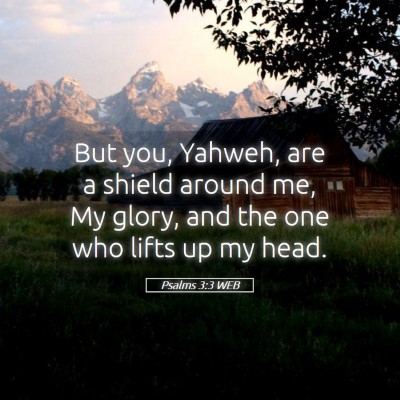 Picture 05 - Psalms 3:3 WEB - But you, Yahweh, are a shield around me, My - Bible Verse Picture