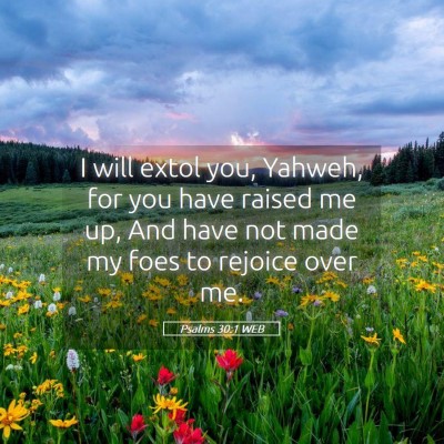 Picture 05 - Psalms 30:1 WEB - I will extol you, Yahweh, for you have raised me - Bible Verse Picture