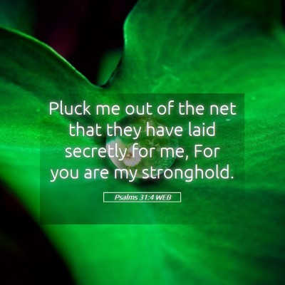 Picture 05 - Psalms 31:4 WEB - Pluck me out of the net that they have laid - Bible Verse Picture