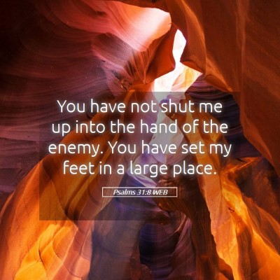 Picture 05 - Psalms 31:8 WEB - You have not shut me up into the hand of the - Bible Verse Picture