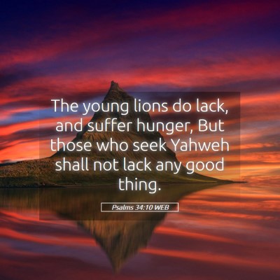 Picture 05 - Psalms 34:10 WEB - The young lions do lack, and suffer hunger, But - Bible Verse Picture