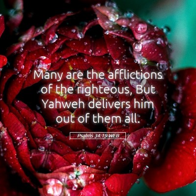 Picture 05 - Psalms 34:19 WEB - Many are the afflictions of the righteous, But - Bible Verse Picture