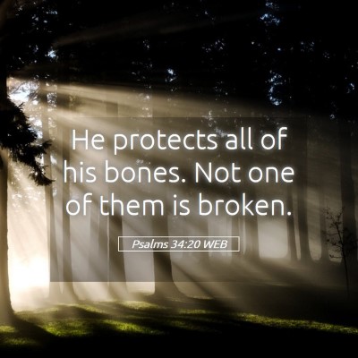 Picture 05 - Psalms 34:20 WEB - He protects all of his bones. Not one of them is - Bible Verse Picture