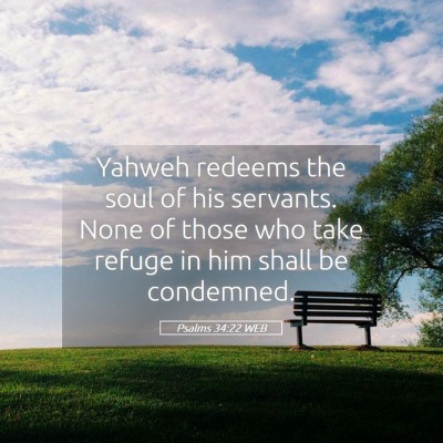 Picture 05 - Psalms 34:22 WEB - Yahweh redeems the soul of his servants. None of - Bible Verse Picture
