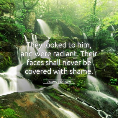 Picture 05 - Psalms 34:5 WEB - They looked to him, and were radiant. Their faces - Bible Verse Picture