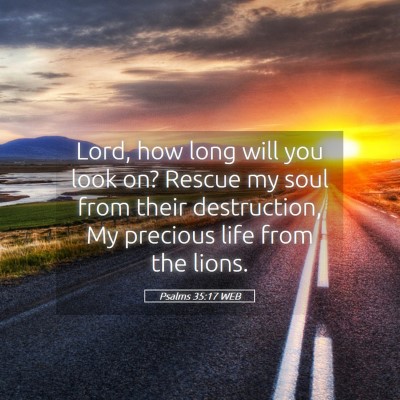 Picture 05 - Psalms 35:17 WEB - Lord, how long will you look on? Rescue my soul - Bible Verse Picture