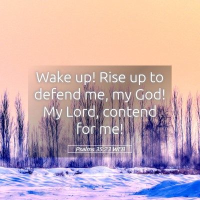 Picture 05 - Psalms 35:23 WEB - Wake up! Rise up to defend me, my God! My Lord, - Bible Verse Picture