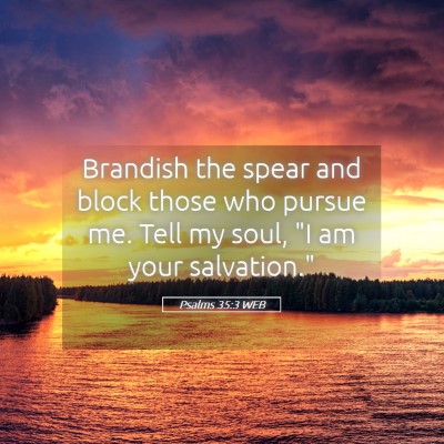 Picture 05 - Psalms 35:3 WEB - Brandish the spear and block those who pursue me. - Bible Verse Picture
