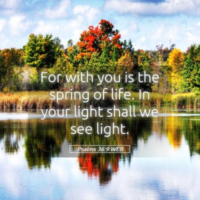 Picture 05 - Psalms 36:9 WEB - For with you is the spring of life. In your light - Bible Verse Picture