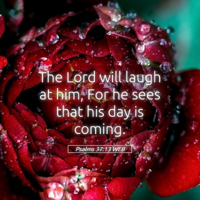 Picture 05 - Psalms 37:13 WEB - The Lord will laugh at him, For he sees that his - Bible Verse Picture