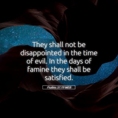 Picture 05 - Psalms 37:19 WEB - They shall not be disappointed in the time of - Bible Verse Picture