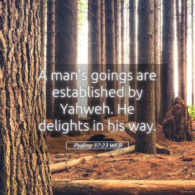Picture 05 - Psalms 37:23 WEB - A man's goings are established by Yahweh. He - Bible Verse Picture