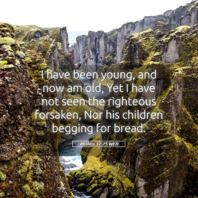 Picture 05 - Psalms 37:25 WEB - I have been young, and now am old, Yet I have not - Bible Verse Picture