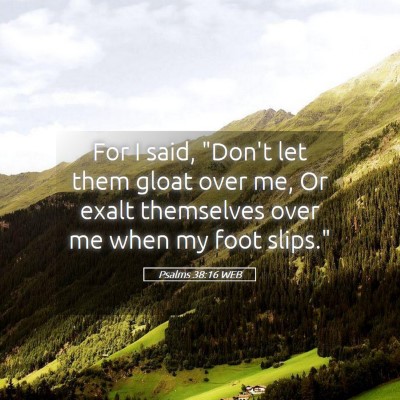 Picture 05 - Psalms 38:16 WEB - For I said, 
