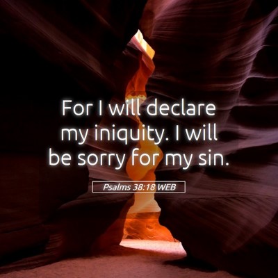 Picture 05 - Psalms 38:18 WEB - For I will declare my iniquity. I will be sorry - Bible Verse Picture