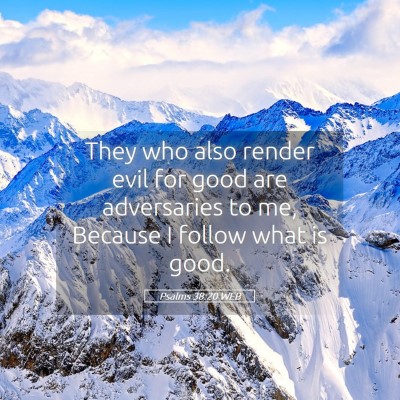 Picture 05 - Psalms 38:20 WEB - They who also render evil for good are - Bible Verse Picture