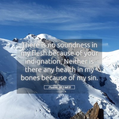Picture 05 - Psalms 38:3 WEB - There is no soundness in my flesh because of your - Bible Verse Picture