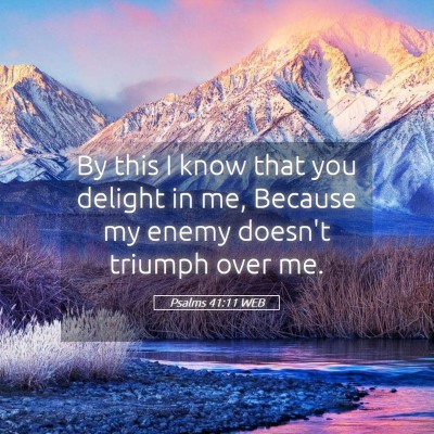 Picture 05 - Psalms 41:11 WEB - By this I know that you delight in me, Because my - Bible Verse Picture