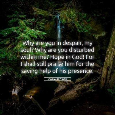 Picture 05 - Psalms 42:5 WEB - Why are you in despair, my soul? Why are you - Bible Verse Picture