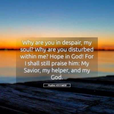 Picture 05 - Psalms 43:5 WEB - Why are you in despair, my soul? Why are you - Bible Verse Picture